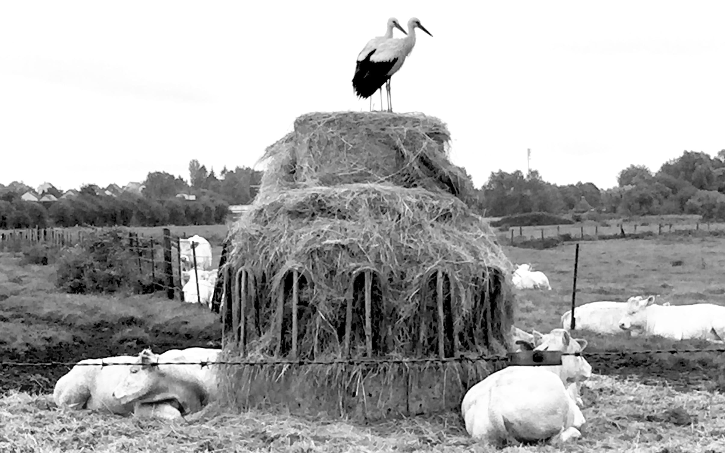 couple amoureux Hidden Bay Hotel